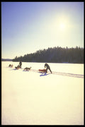 310021 Dog Sledding, Mont Ste Marie, Quebec A4 Photo Print