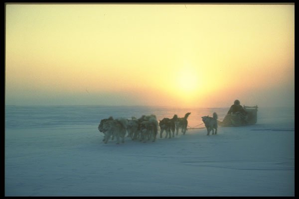 310028 Dog Sled Travel At 45 Degrees Celsius, Baffin Island A4 Photo Print