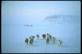 310029 Dog Teams, Devon Island, Northwest Territories A4 Photo Print
