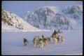 310035 Traveling, Ellesmere Island A4 Photo Print