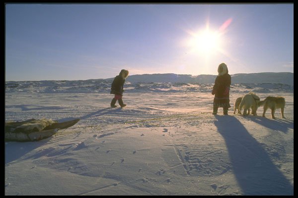 310041 Inuit Girls With Their Team, Pelly Bay A4 Photo Print