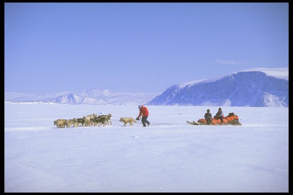 310042 Dog Tour, Kignait Fjord, Northwest Territories A4 Photo Print