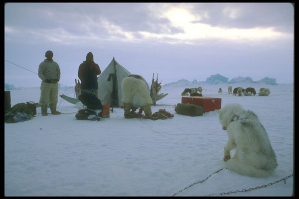 310050 Greenlandic Camp A4 Photo Print