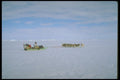 310057 Polar Eskimo, Greenland A4 Photo Print