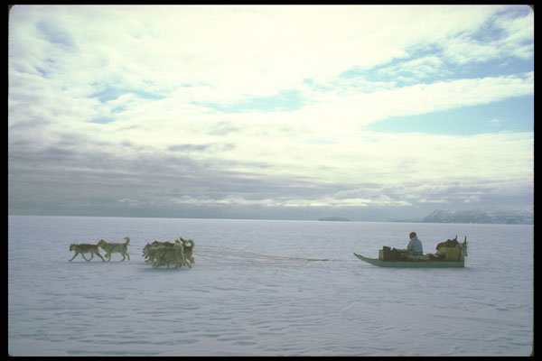 310059 Polar Eskimo, Greenland A4 Photo Print