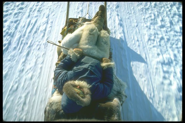 310060 Polar Eskimo Asleep On Sled A4 Photo Print