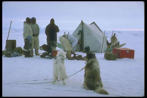 310070 Hunting Camp, Greenland A4 Photo Print