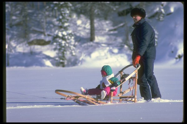 310076 Dog Driver And Child A4 Photo Print