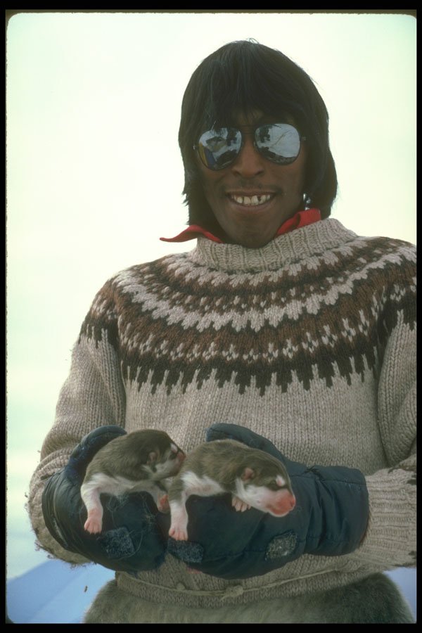 310080 Canadian Inuk With Pups A4 Photo Print