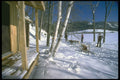 310082 Dog Trail, Quebec A4 Photo Print