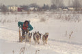 310084 Dogsled Racer, Gatineau, Quebec A4 Photo Print