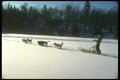 310087 Running The Team A4 Photo Print