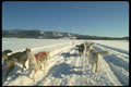 310091 On The Run A4 Photo Print