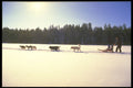 310096 Running The Team A4 Photo Print