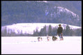 310098 Running The Team A4 Photo Print