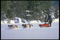 310099 Running The Team A4 Photo Print