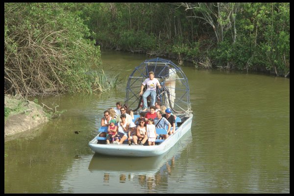311013 Jet Boat, Alligator Alley A4 Photo Print