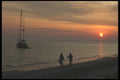 311017 Everglades Coastline A4 Photo Print