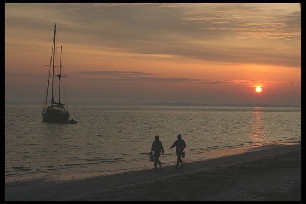 311017 Everglades Coastline A4 Photo Print