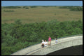 311043 Observation Tower, Shark River Slough A4 Photo Print