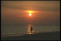 311056 Beach Walk, Cape Sable A4 Photo Print