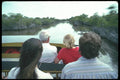 311074 Everglades Tours A4 Photo Print