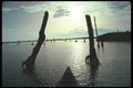 311075 Canoe In Wetlands A4 Photo Print