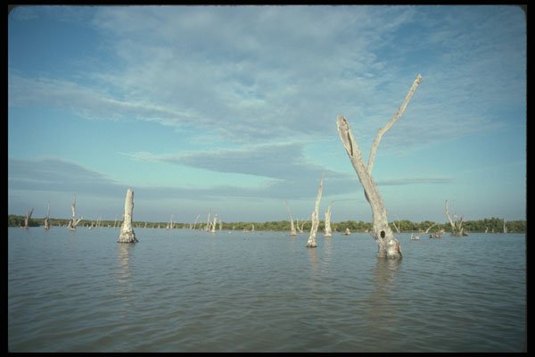 311076 Whitewater Bay A4 Photo Print
