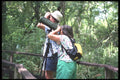311078 Bird Watchers A4 Photo Print