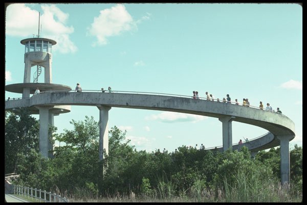 311085 Observation Tower, Shark Valley A4 Photo Print