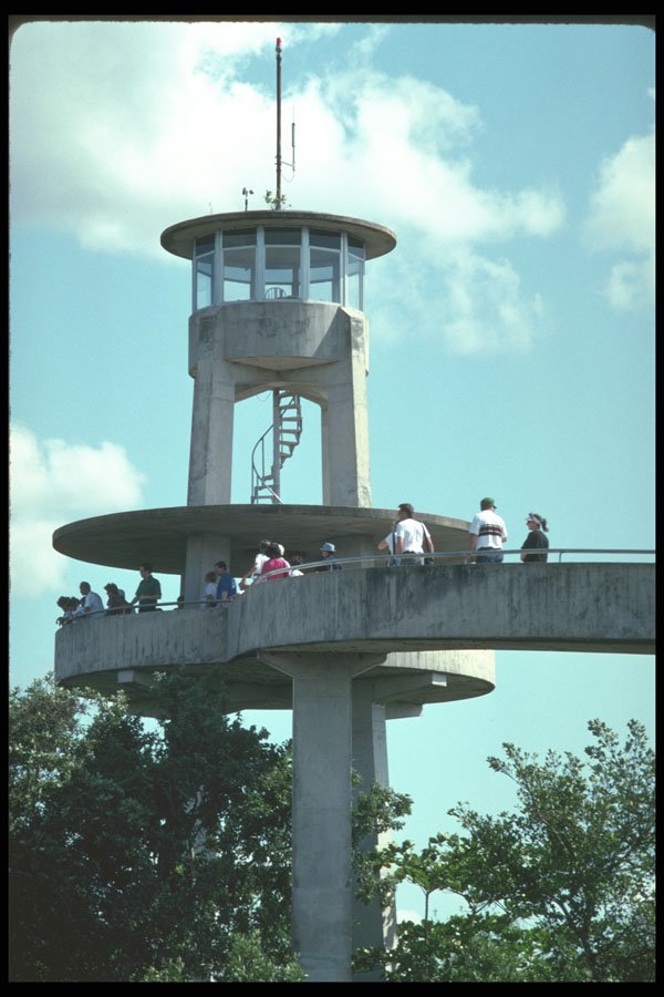 311089 Observation Tower, Shark Valley A4 Photo Print