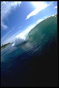 312013 Pole Camera, La Jolla, California Reef A4 Photo Print
