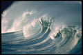 312059 Helmet cam View San Diego Beach Break A4 Photo Print