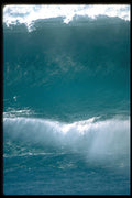 312073 Bubble Cam Lip Throw California A4 Photo Print