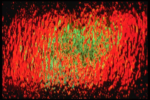 313001 Red & Green Neon Light Reflected In A Pool Of Rain Water A4 Photo Print