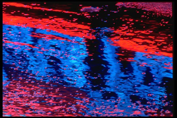 313003 Red & Blue Neon Light Reflected In Rain Water On Asphalt A4 Photo Print