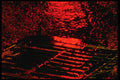 313006 Red Neon Reflected In Rain Water On Asphalt At Catch Basin A4 Photo Print