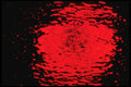313007 Red Neon Light Reflected In Rain Water On Asphalt A4 Photo Print