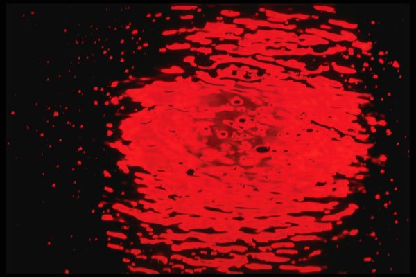 313007 Red Neon Light Reflected In Rain Water On Asphalt A4 Photo Print