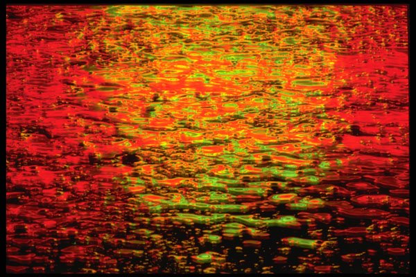 313010 Red & Green Neon Light Reflected On Wet Asphalt A4 Photo Print