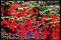 313011 Blue, Green, Red Neon Light Reflecting On Wet Asphalt A4 Photo Print