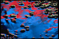 313014 Blue & Red Neon Light Reflecting On Wet Asphalt A4 Photo Print