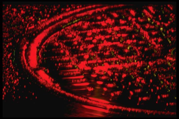 313015 Red Neon Light Reflecting On Wet Manhole Cover A4 Photo Print