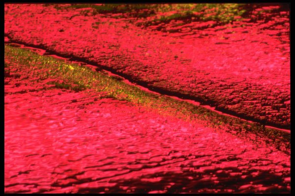 313016 Red & Yellow Neon Light Reflecting On Wet, Cracked Asphalt A4 Photo Print