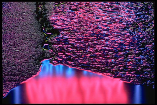 313018 Blue & Red Neon Light Reflecting On Pooled Rain Water A4 Photo Print