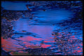 313020 Blue & Red Neon Light Reflected On Wet Asphalt A4 Photo Print