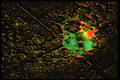 313023 Green & Yellow Light Reflected On Patio Stones A4 Photo Print