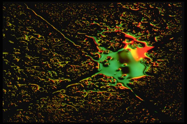 313023 Green & Yellow Light Reflected On Patio Stones A4 Photo Print