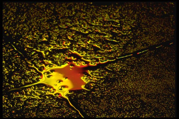 313024 Red & Yellow Light Reflected On Patio Stones A4 Photo Print