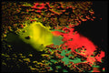 313032 Yellow, Green, Red Neon Light Reflected In Rain Water A4 Photo Print